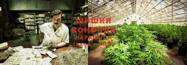 винт Гусев