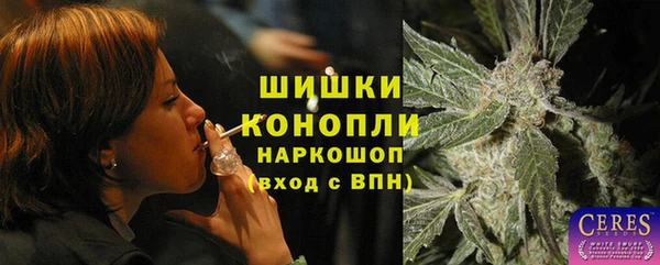 винт Гусев