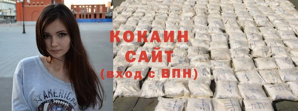 винт Гусев