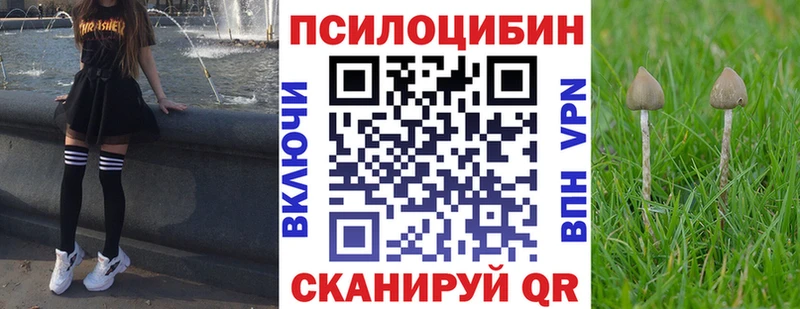 Псилоцибиновые грибы прущие грибы  Мценск 