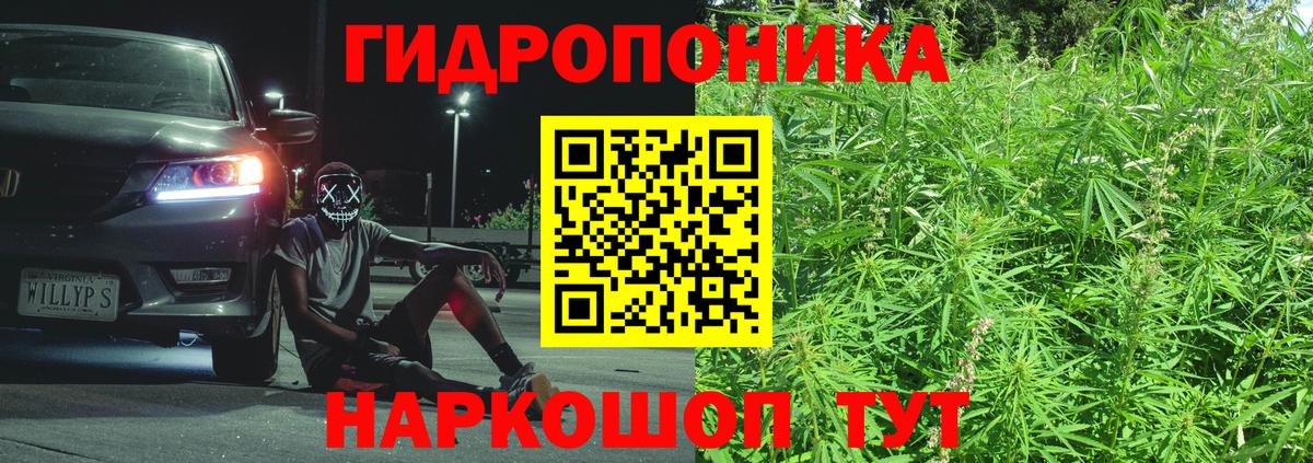 Каннабис ГИДРОПОН  Вход с VPN  Мценск  Бошки Шишки Bruce Banner  Канабис гибрид 